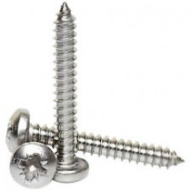 Self Tapping Screws