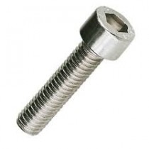 Socket Cap Screw A4