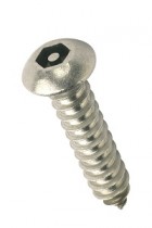 Pan Head Pin Hex Self Tapping Screw AB A2