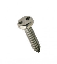 Pan Head 2-Hole Self Tapping Screw AB A2
