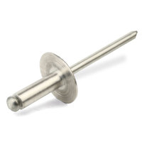 4.8 Ø x 22mm Lrg Flange Steel/Steel Rivet