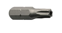 T10 6-Lobe Pin Security Screw Insert Bit