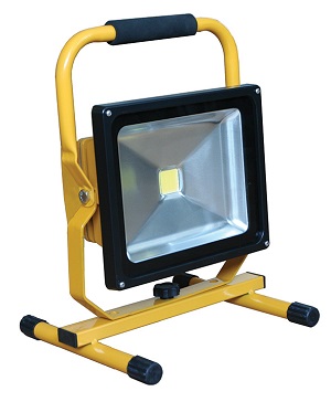 CONNEXIONS 10912 LED Site Light 110v