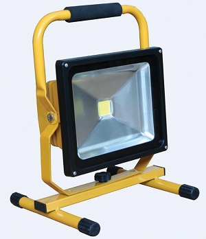 CONNEXIONS 10916 LED Site Light 110v